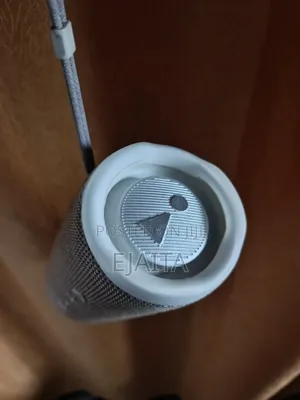 JBL Flip 6