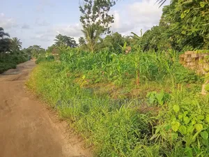 A Road Side Land (560sqm2)