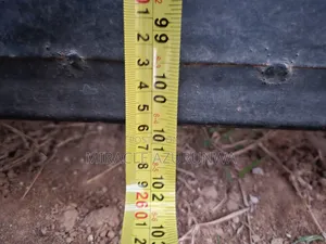 House Iron Protector/Gate