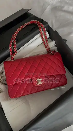 Croc Chain Bag