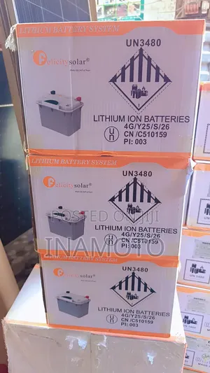 1.28kwh 12v Lithium Iron Battery