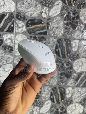 Wireless Mouse Dual Mode