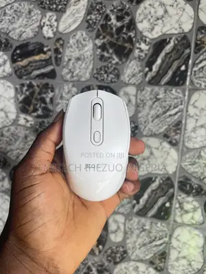 Wireless Mouse Dual Mode