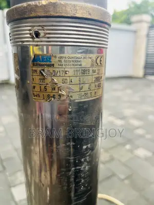 1.5hp Saer Elettropompe Ns-95 B/17 Submersible Pump