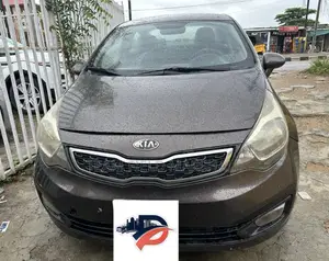 Kia Rio EX 4dr Sedan (1.6L 4cyl 6A) 2014 Gray