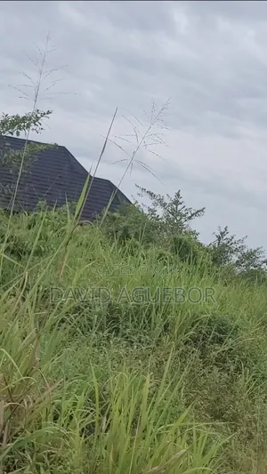 100by100 for Sale at Igue Ovenmwen Community Edo Benin City Nigeria