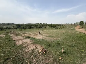 Land for Sale in Apo Wassa