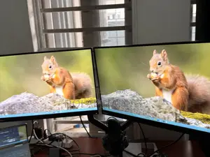 Lenovo Thinkvision