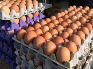 Fresh Eggs for Sale