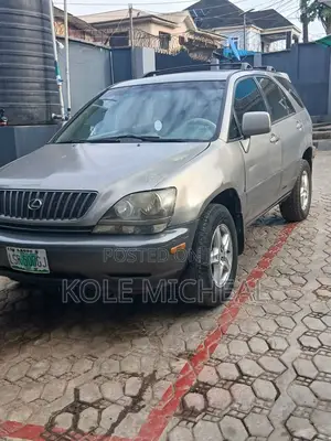 Lexus RX 2001 Gray