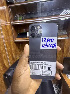 Apple iPhone 12 Pro 256 GB Gray