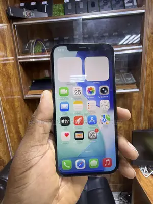 Apple iPhone 12 Pro 256 GB Gray