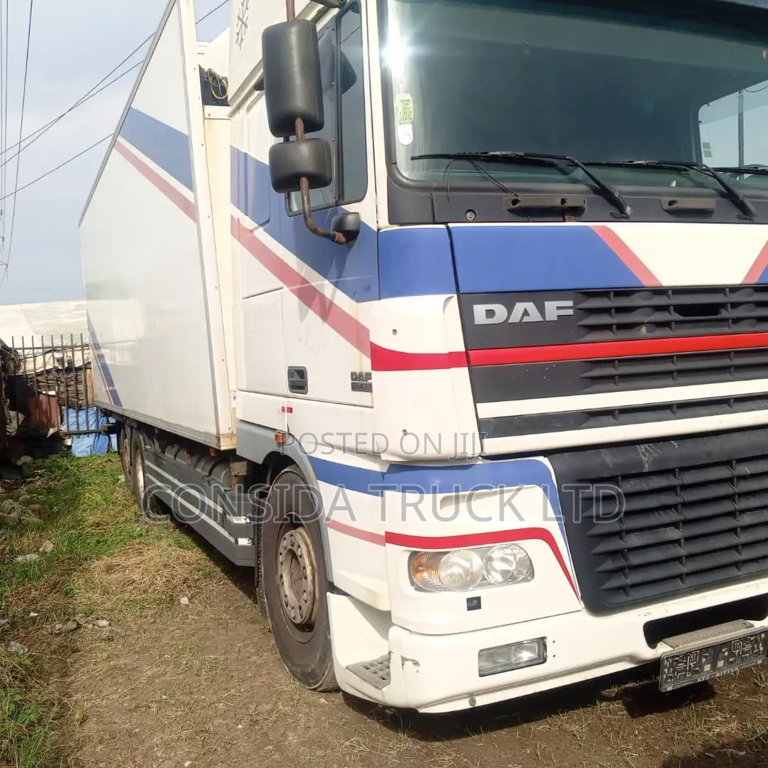 Daf Xf White 1998