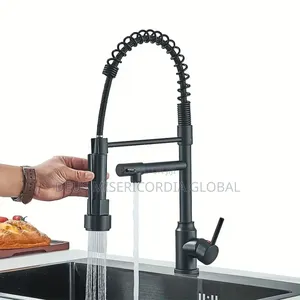 Pull-Down Kitchen Faucet With a Spring-Loaded Neck Dual Spray Head.