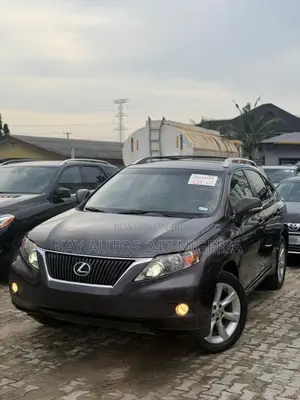 Lexus RX 2010 Gray