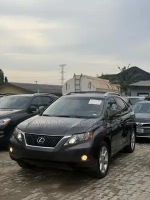 Lexus RX 2010 Gray