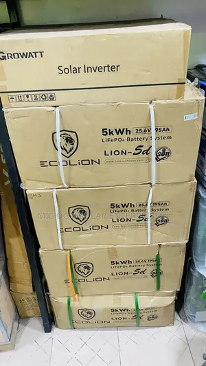 Eco Lion 5kwh Lithium Battery