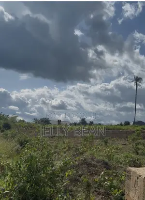 Land Measuring 100ft X 200ft C of O Deed of Transfer and Survey