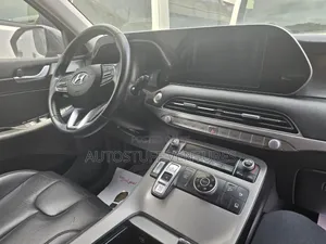 Hyundai Palisade 2020 Gray