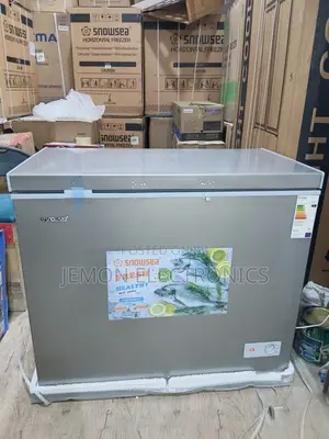 Snowse 350literschest Freezer Fas Cooling Deep Freezer for Home Shop