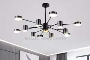 12hand Chandelier