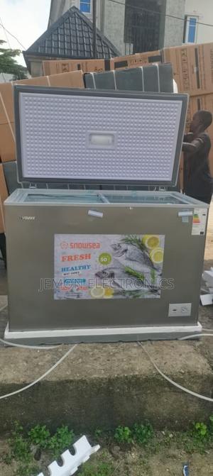 Snowsea Bd-158 300liters Chest Freezer – Energy Saving Freezer