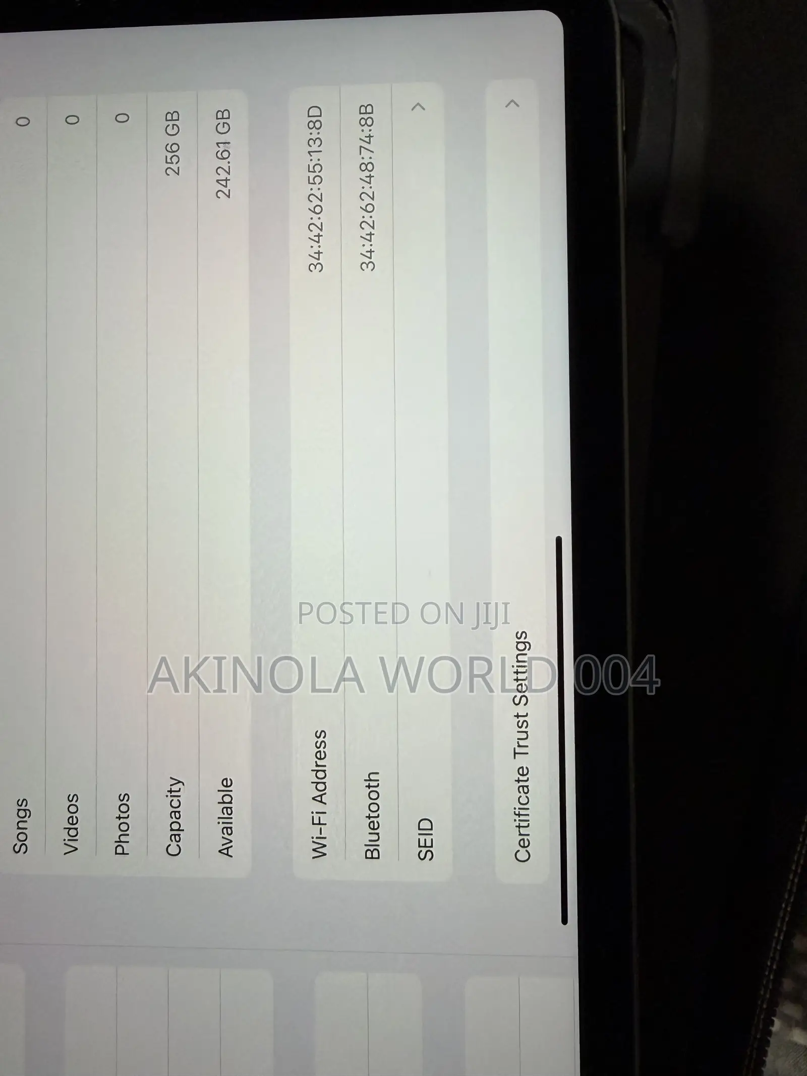 Apple iPad Pro 256 GB Gray
