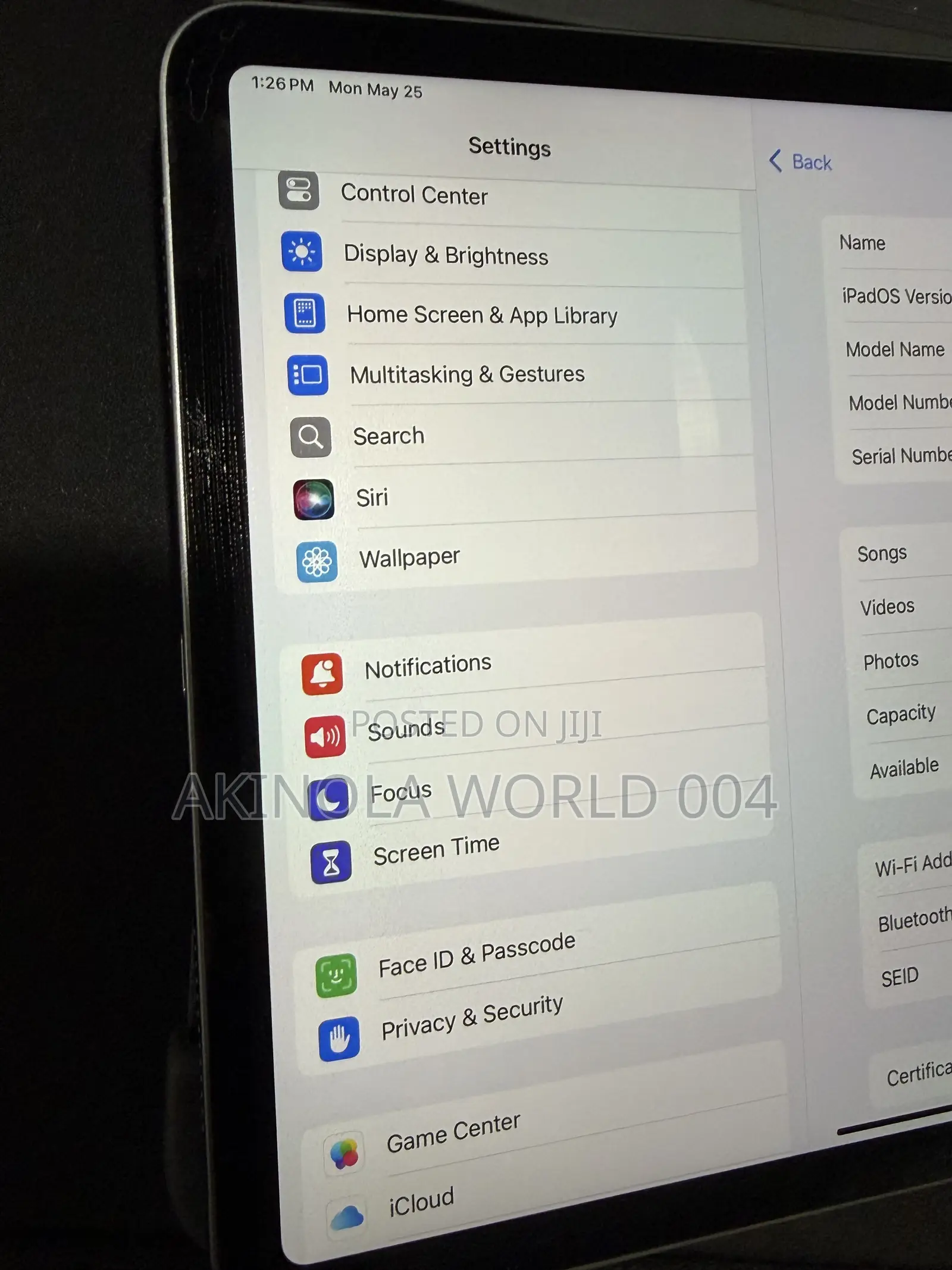 Apple iPad Pro 256 GB Gray