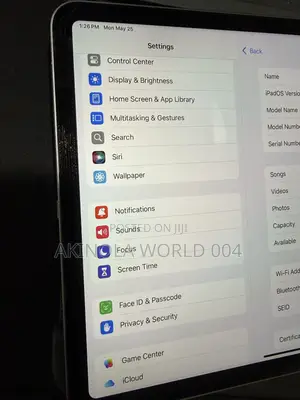 Apple iPad Pro 256 GB Gray