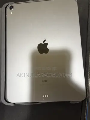 Apple iPad Pro 256 GB Gray