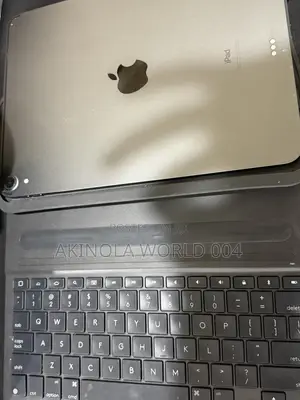 Apple iPad Pro 256 GB Gray