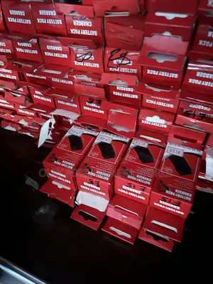 Camera Chargers for Nikon, Canon, and Sony