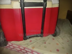 Igloo Cooler