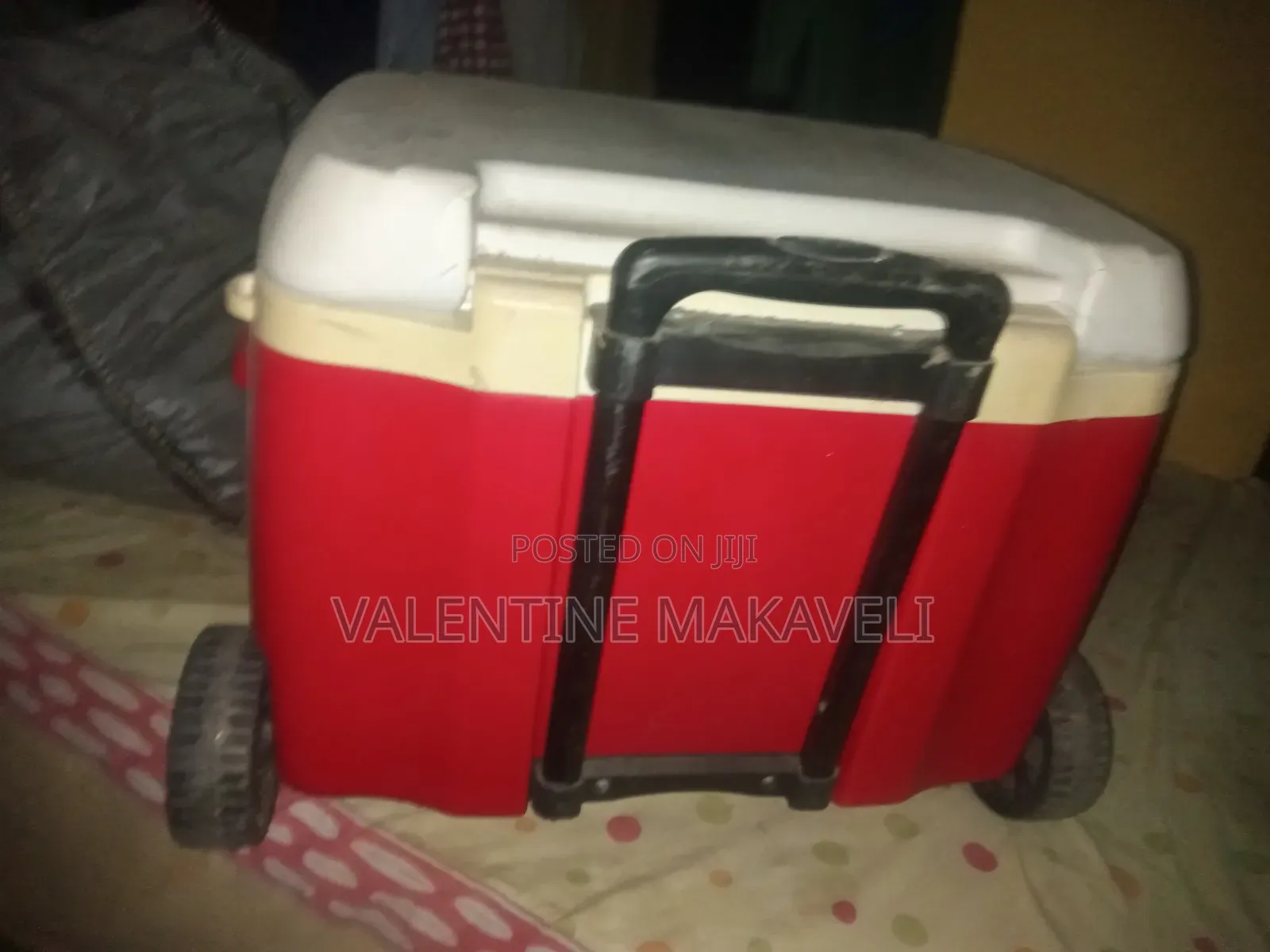 Igloo Cooler