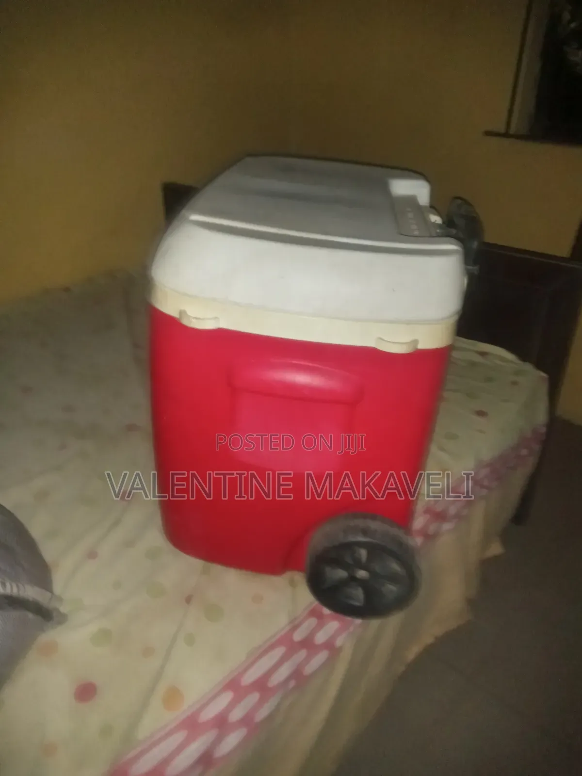 Igloo Cooler