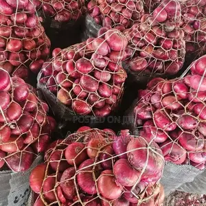Onions Depot