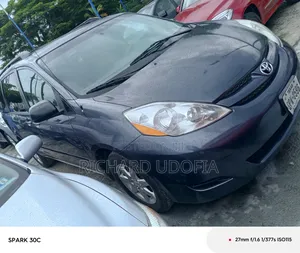 Toyota Sienna LE 4WD 2007 Gray