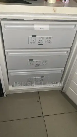 German Bosch Upright Freezer