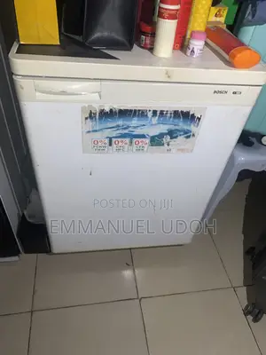 German Bosch Upright Freezer