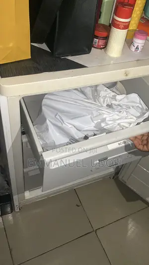 German Bosch Upright Freezer