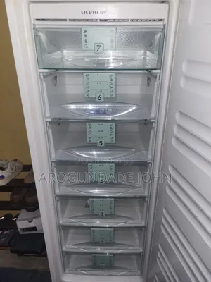 Liebherr Standing Freezer
