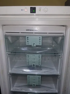 Liebherr Standing Freezer