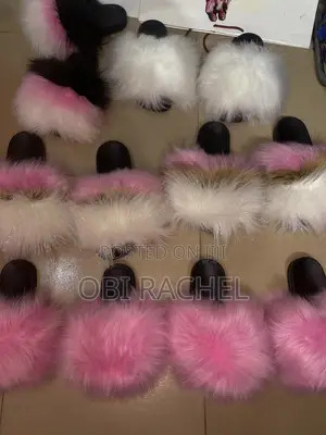 Furry Slides