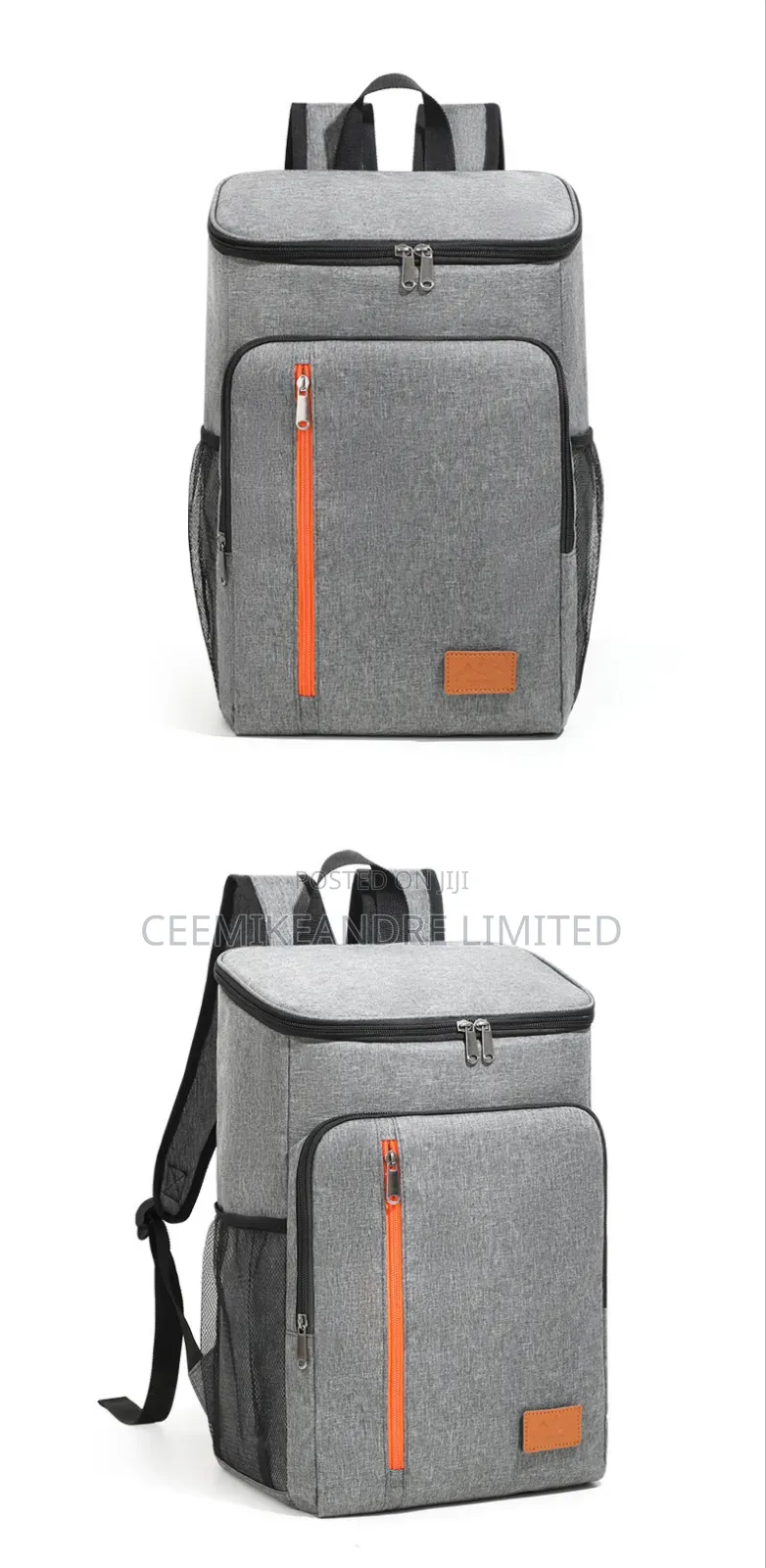 Backpack Lunch Bag