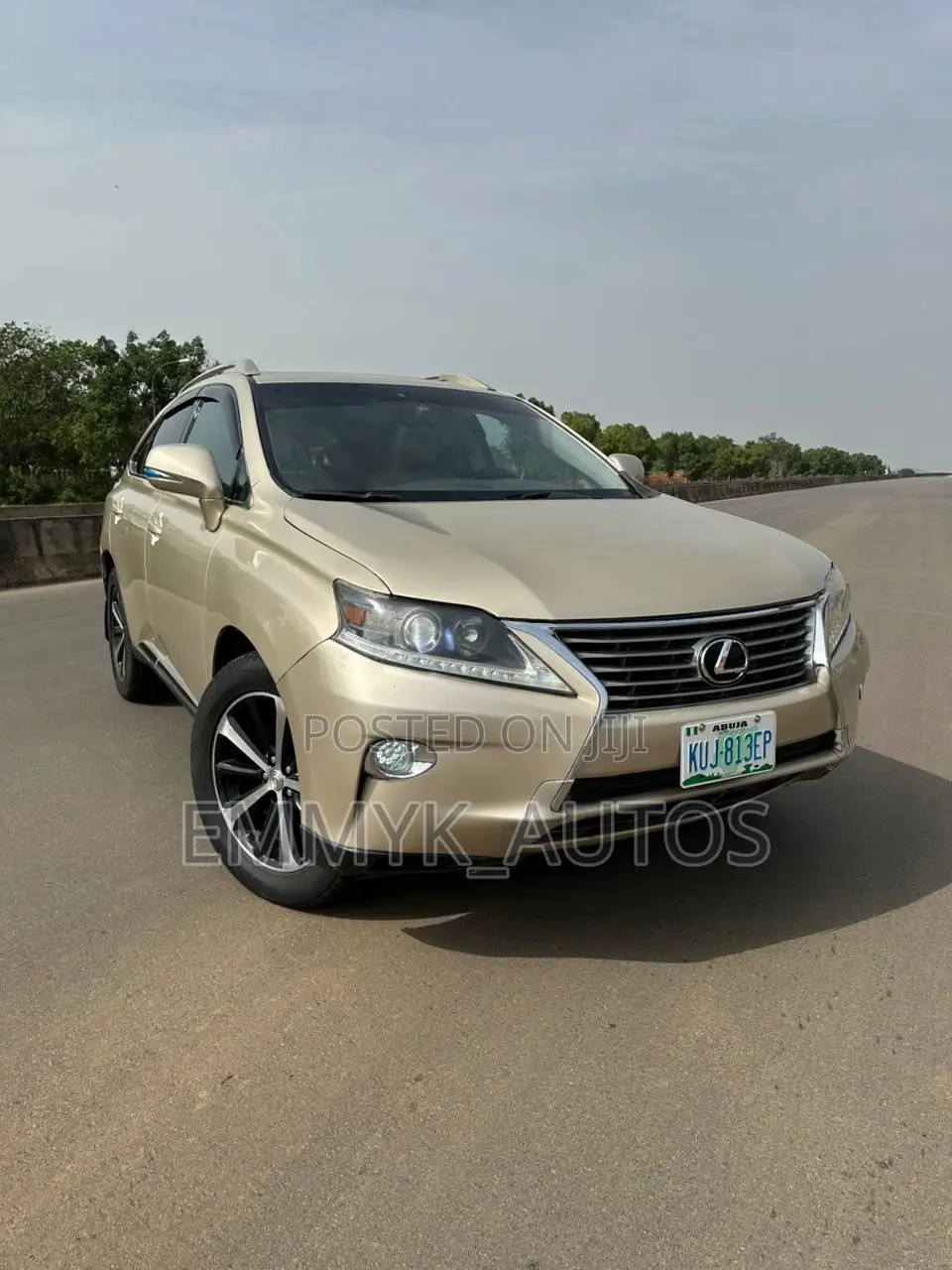 Lexus RX 2014 Gold