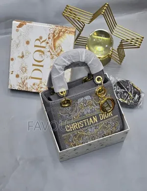Christian Dior Luxurious Bag