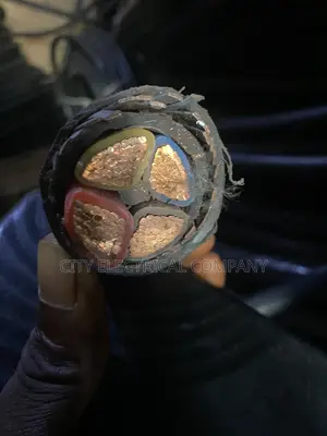 4x120mm Notion Electric Armoured Cable