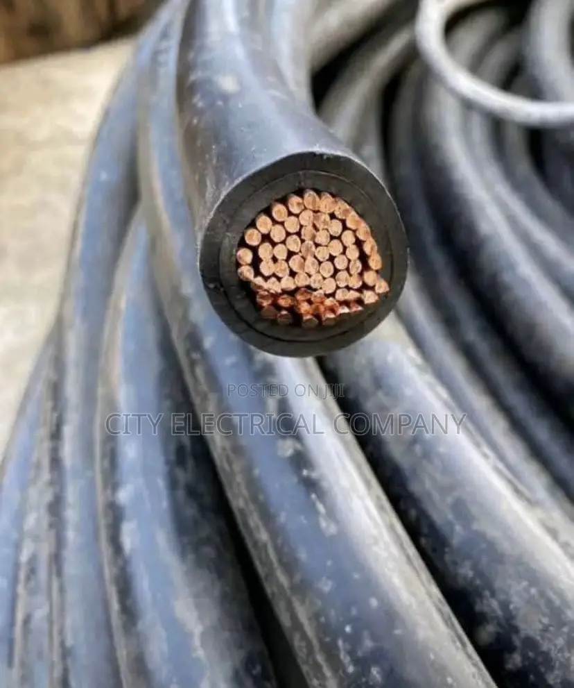 1x500mm Coleman Electric Cable