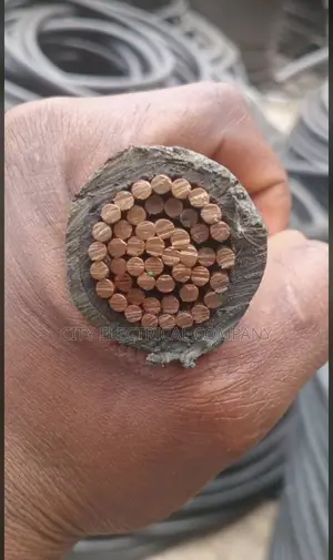 1x400mm Coleman Electric Cable