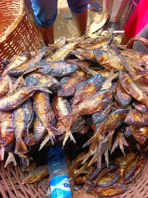 Dried Bonga Fish